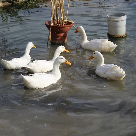 Doktorun Haymana