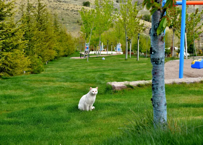 Hotel Doktorun Haymana